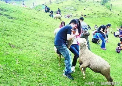 台湾八天自由行攻略,台湾亲子自由行攻略