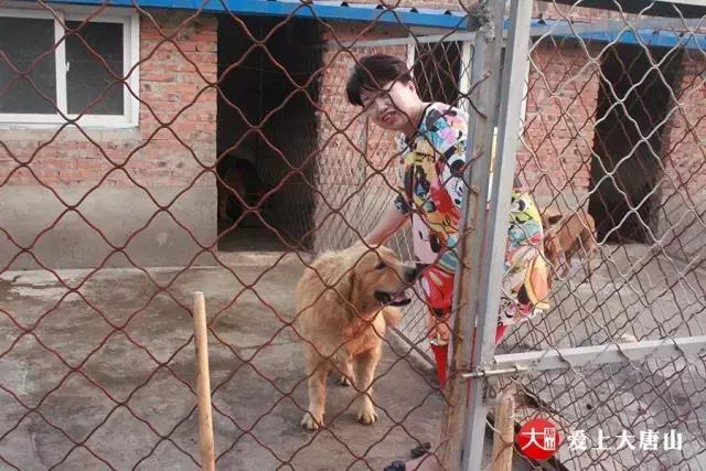 我们用镜头记录生活,记录流浪狗真实生活