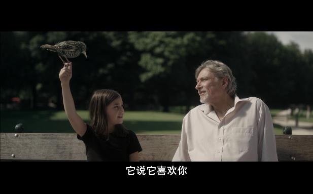 大猩猩和一对情侣电影,关于猩猩和美女结婚的电影大全