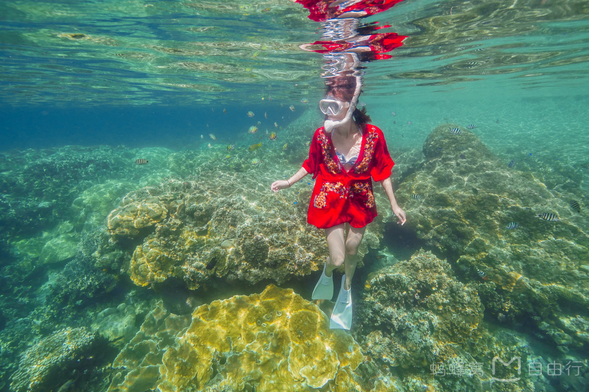 帕劳出海环岛旅游攻略,帕劳旅行攻略大全最新