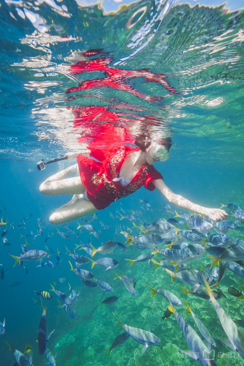 帕劳出海自由行,帕劳坐船旅游攻略