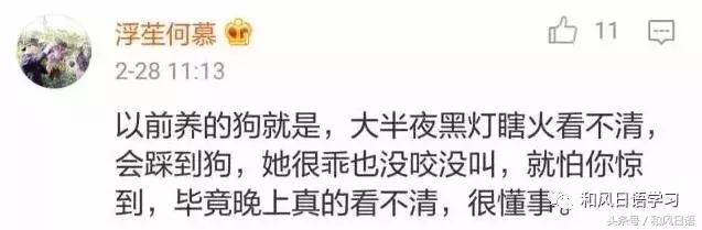 不小心踩死自己的宠物痛哭流涕,不小心把宠物压死了