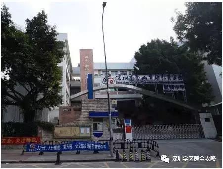南山学区房全攻略｜科技园片区+前海片区+南头片区教育资源解析！