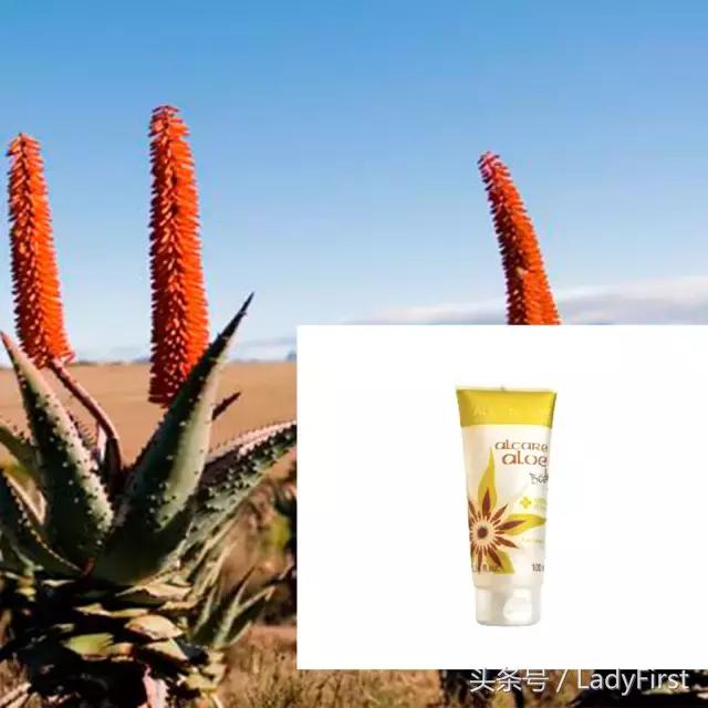 推荐一款适合这个季节的护肤品,秋天必入的第一套护肤套装