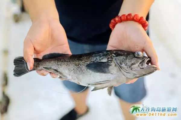 国庆大连去哪个海岛,国庆八天假去哪玩江西