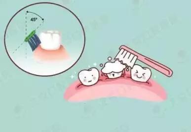 幼儿园护牙知识大全,护牙小知识视频