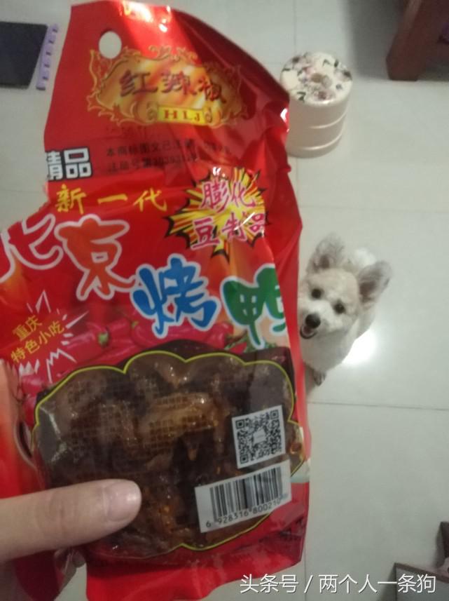 养一只挑食狗,养宠物狗挑食怎么办