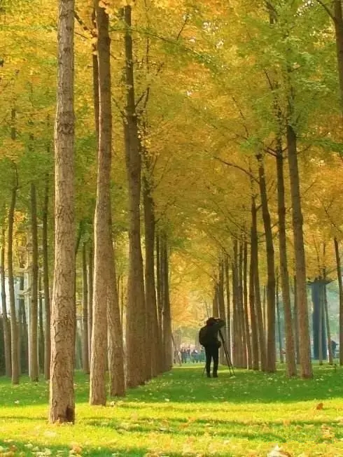 去郑州哪里旅游最便宜又好玩,郑州值得旅游的地方有哪些