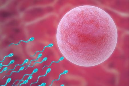 备孕排卵试纸强阳吗,备孕需要准备多少排卵试纸