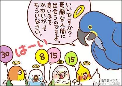 不小心踩死自己的宠物痛哭流涕,不小心把宠物压死了