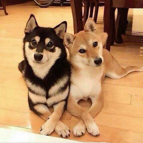 亳州有什么特产可以带回家吃,亳州特产适合携带