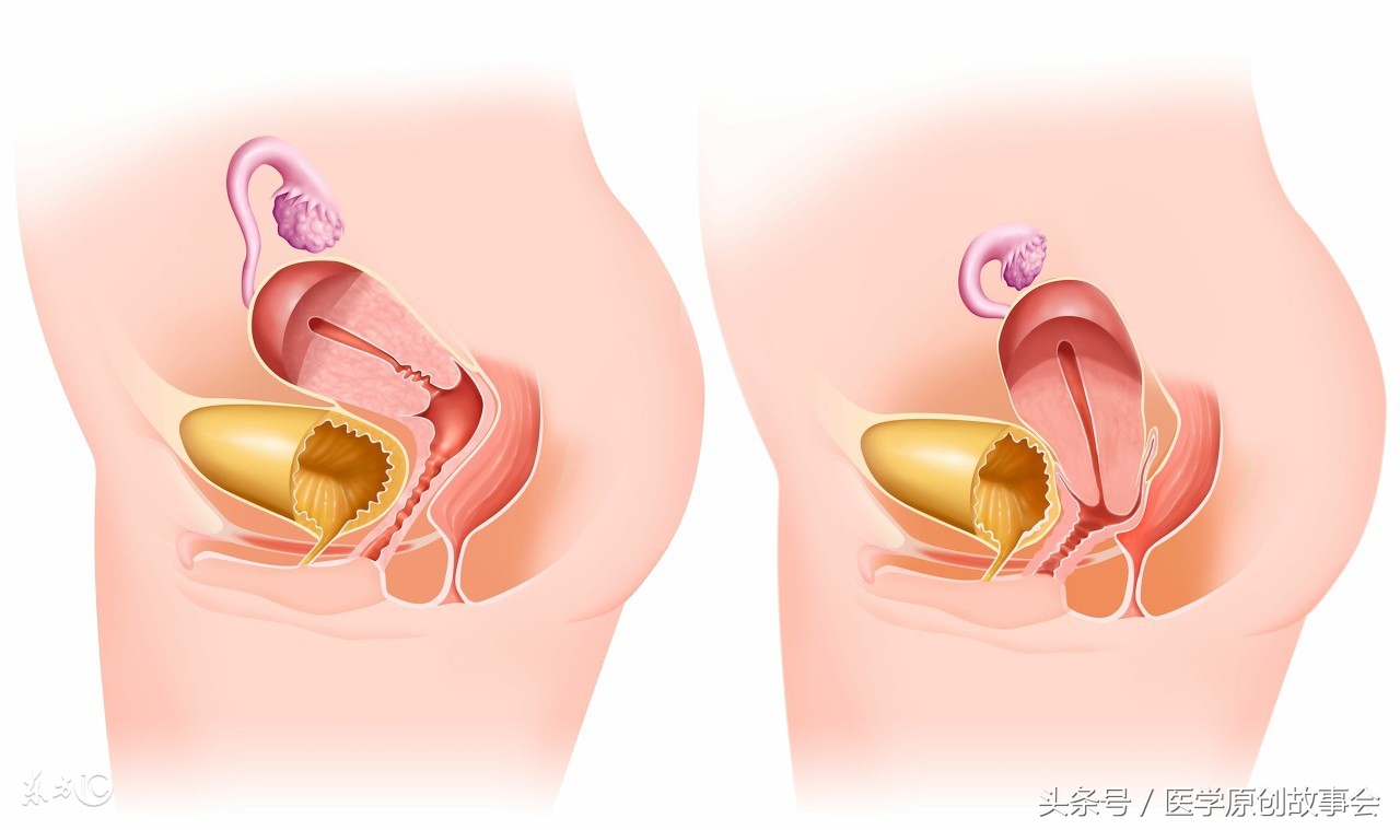 怀胎九月孕妇突然肚子疼生了,孕妇怀孕六个月下腹剧痛