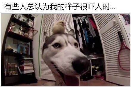 员工辞职理由怎么写,员工辞职申请需要审批吗