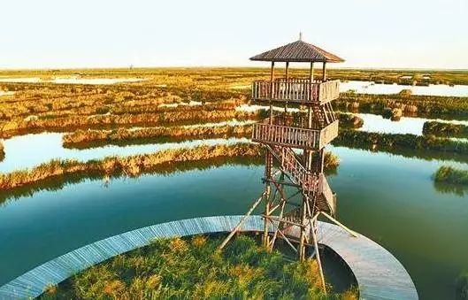 秦皇岛秋景最好的地方 (秦皇岛周边十月赏秋色的地方)