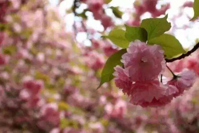 去郑州哪里旅游最便宜又好玩,郑州值得旅游的地方有哪些