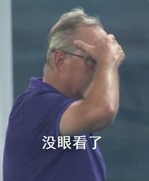 梅西和勒夫表情包,勒夫世界杯表情包