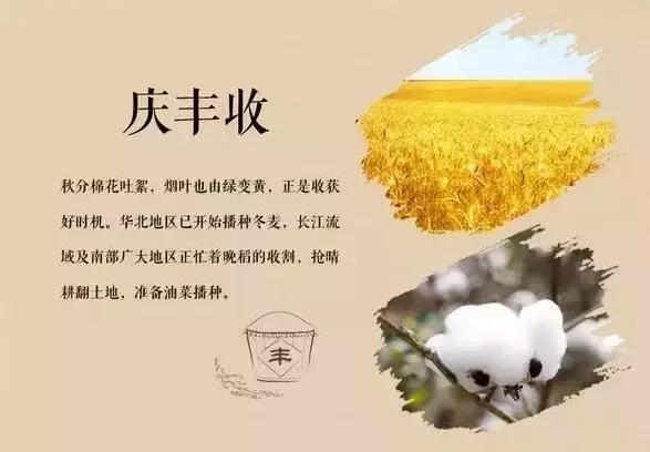 春分和秋分节气,春分和秋分节气的特点