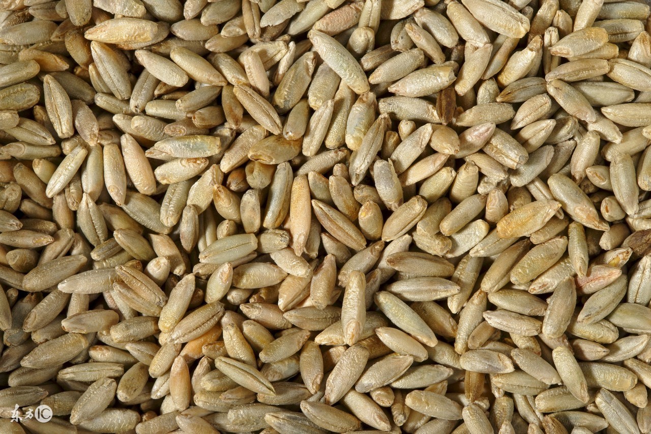 孙俪娘娘护肤秘方,娘娘孙俪都在用的养发秘方