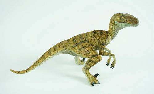 恐龙世界大百科解析,恐龙大百科解读