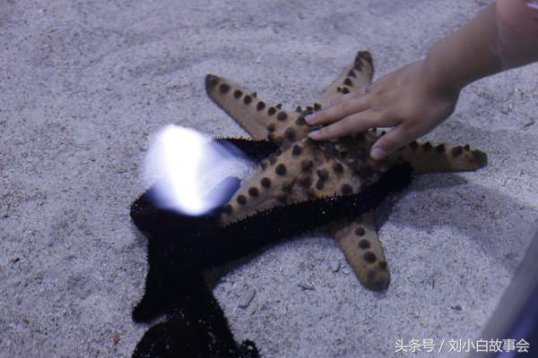 冲绳旅拍攻略,冲绳旅行攻略图