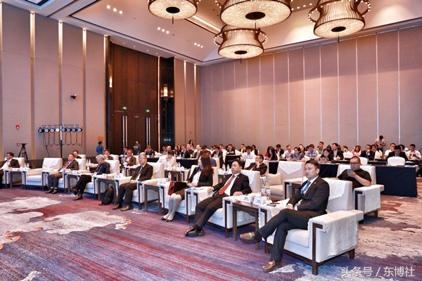 太平洋建设：共建“一带一路”，咱们私企有力量