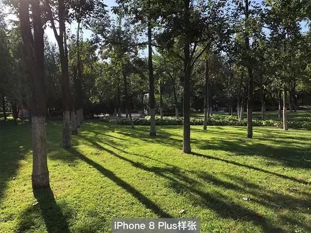 iPhone8全面评测，升级点有这几个此文章转自中关村在线