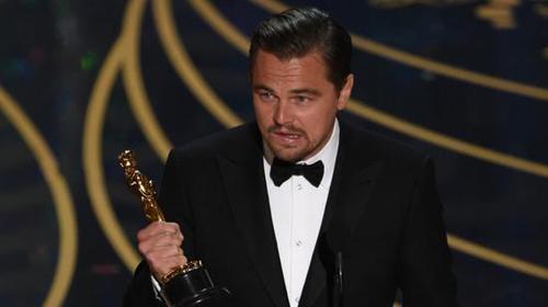 荒野猎人小李子打野兽,荒野猎人小李子和熊搏斗超清