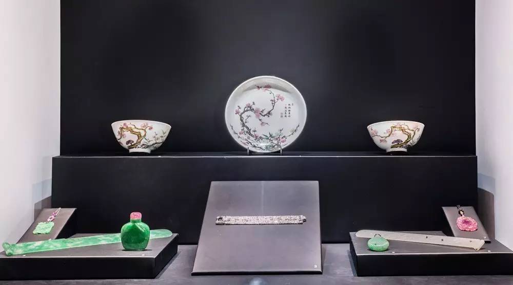 长知识升逼格｜来看看大蜥蜴国有多了不起