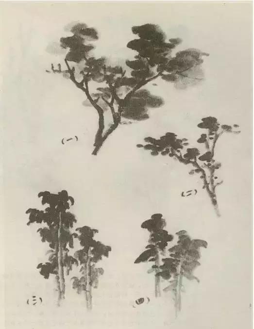 怎么画树最简单而且还最好看,怎么样才能画树画的最好看