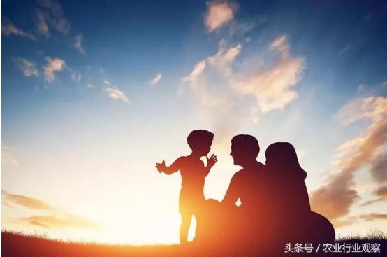 农产品如何全网做营销,新农人必学的营销策略