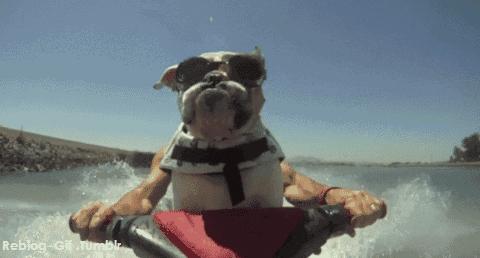 香港周大福买黄金首饰佣金怎么算,香港周大福65折值得买吗