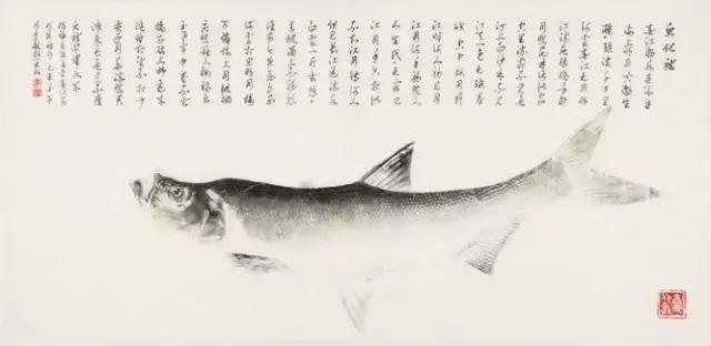 唯美鱼手绘画,唯美鱼手绘高级