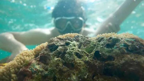 巴拉望岛好玩吗,巴拉望岛最大的岛屿