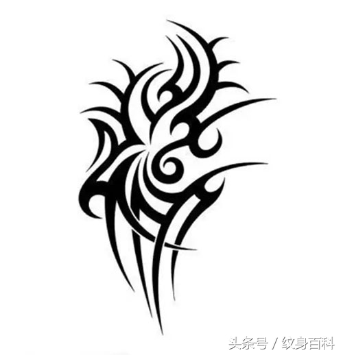 常见纹身的图腾,图腾纹身有哪些种类