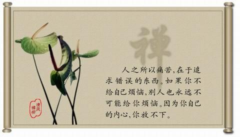 佛教禅诗40首哲言,六首禅诗道尽人间哲理