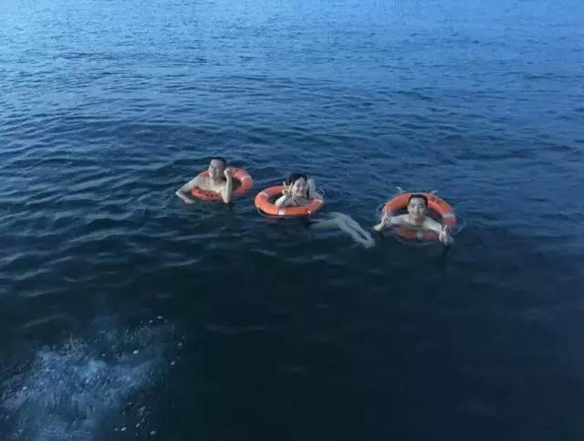 teamlab东京光影展,teamlab艺术展馆