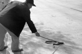 晚上开车压死一条蛇有什么预兆,路上遇到车压死的蛇怎么办