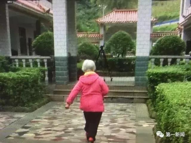 追赶超越看今朝，厉害了！我的“安康绿”！