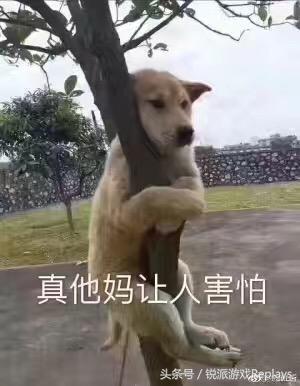 打排位队友太坑怎么办,排位队友太坑带不动怎么办