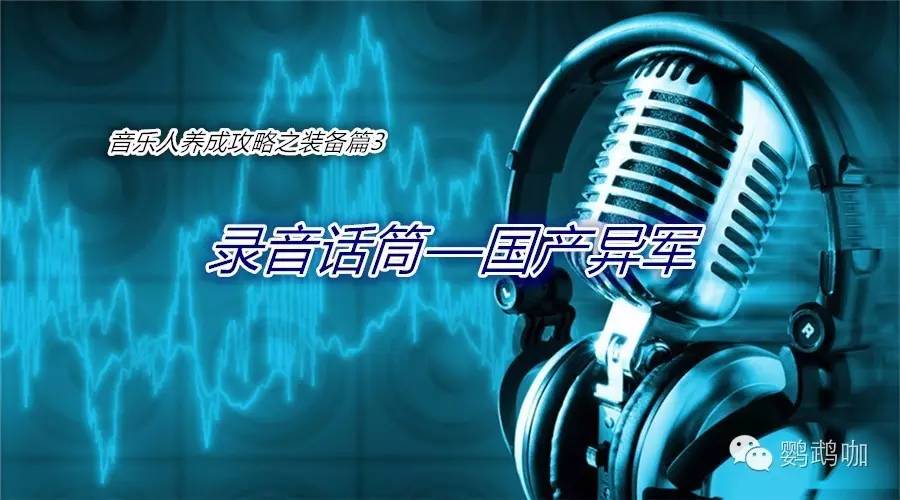 音乐人养成计划,音乐人养成
