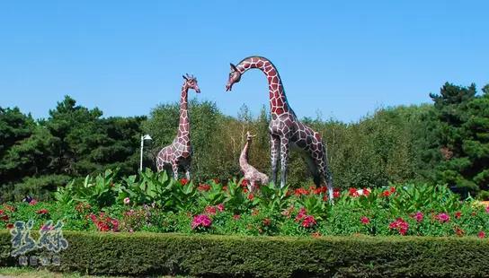 长假不远游的地方,长假不远行浙里有风景