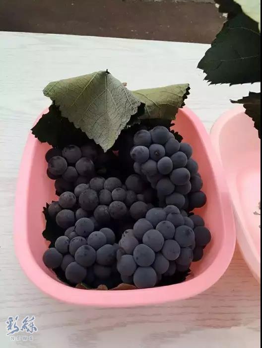 长假不远游的地方,长假不远行浙里有风景