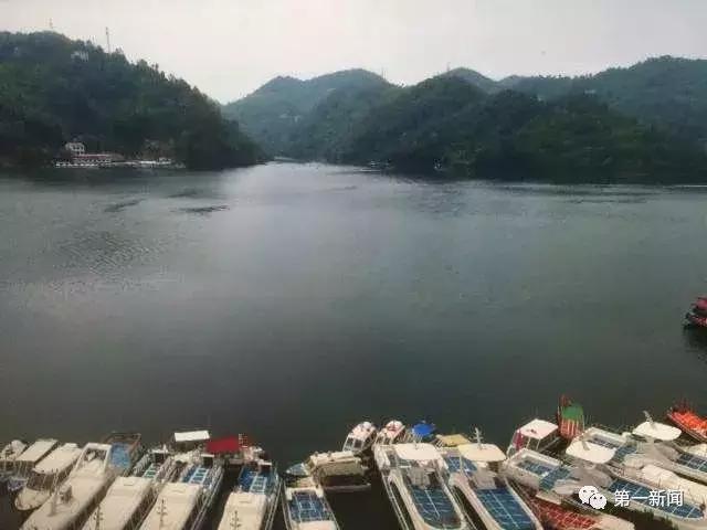 追赶超越看今朝，厉害了！我的“安康绿”！