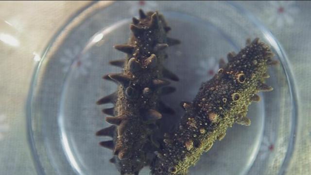 海参真实的营养价值,专家揭秘海参的真实营养价值