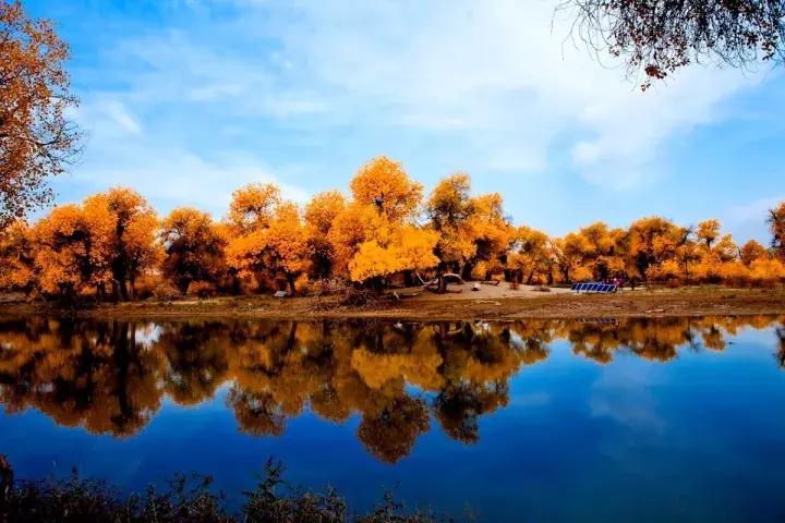 十一去哪玩划算 (十一最适合去哪里玩)