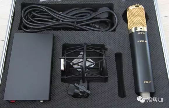 音乐人养成计划,音乐人养成