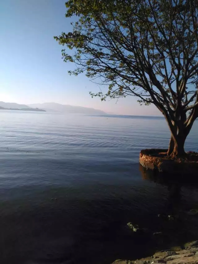 诗意般的大理,诗意的大理洱海