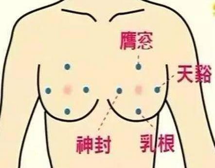 乳腺囊性增生吃中药调理有用吗,乳腺增生小叶增生怎么调理才能好