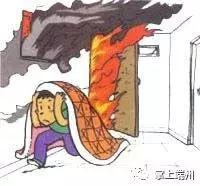 星湖公园火灾,星湖城火灾