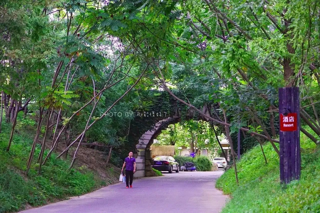 北京汤泉度假酒店排名,京城度假酒店